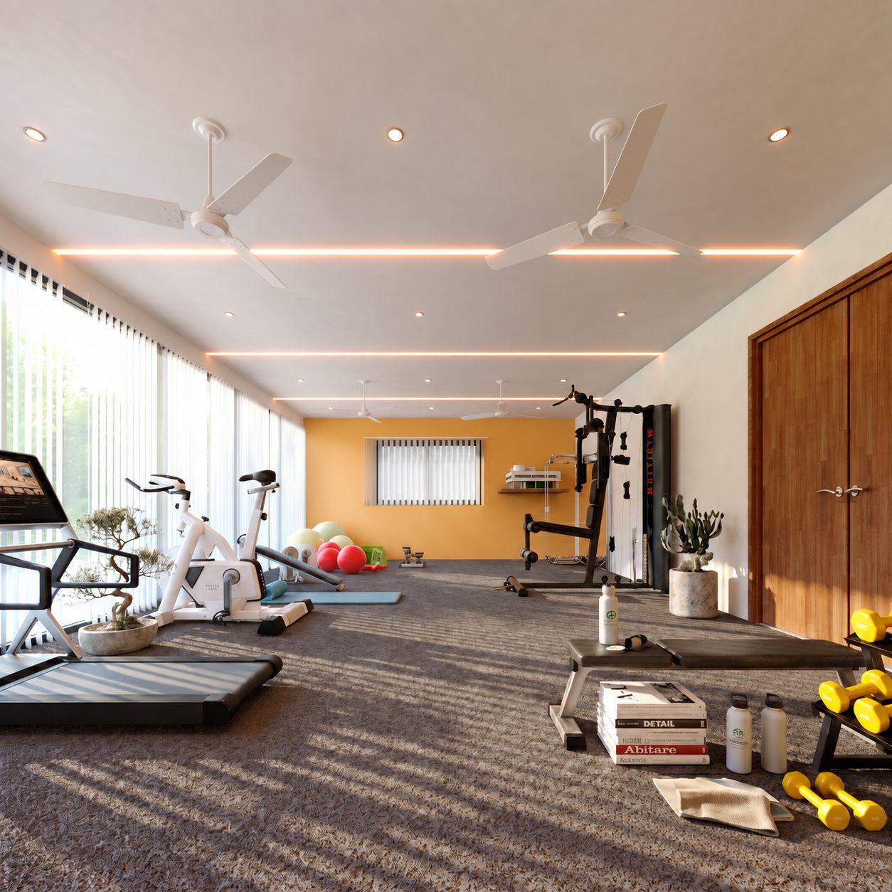 Triplex Sou — salle de sport, vue d'ensemble